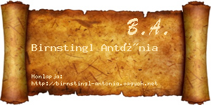 Birnstingl Antónia névjegykártya